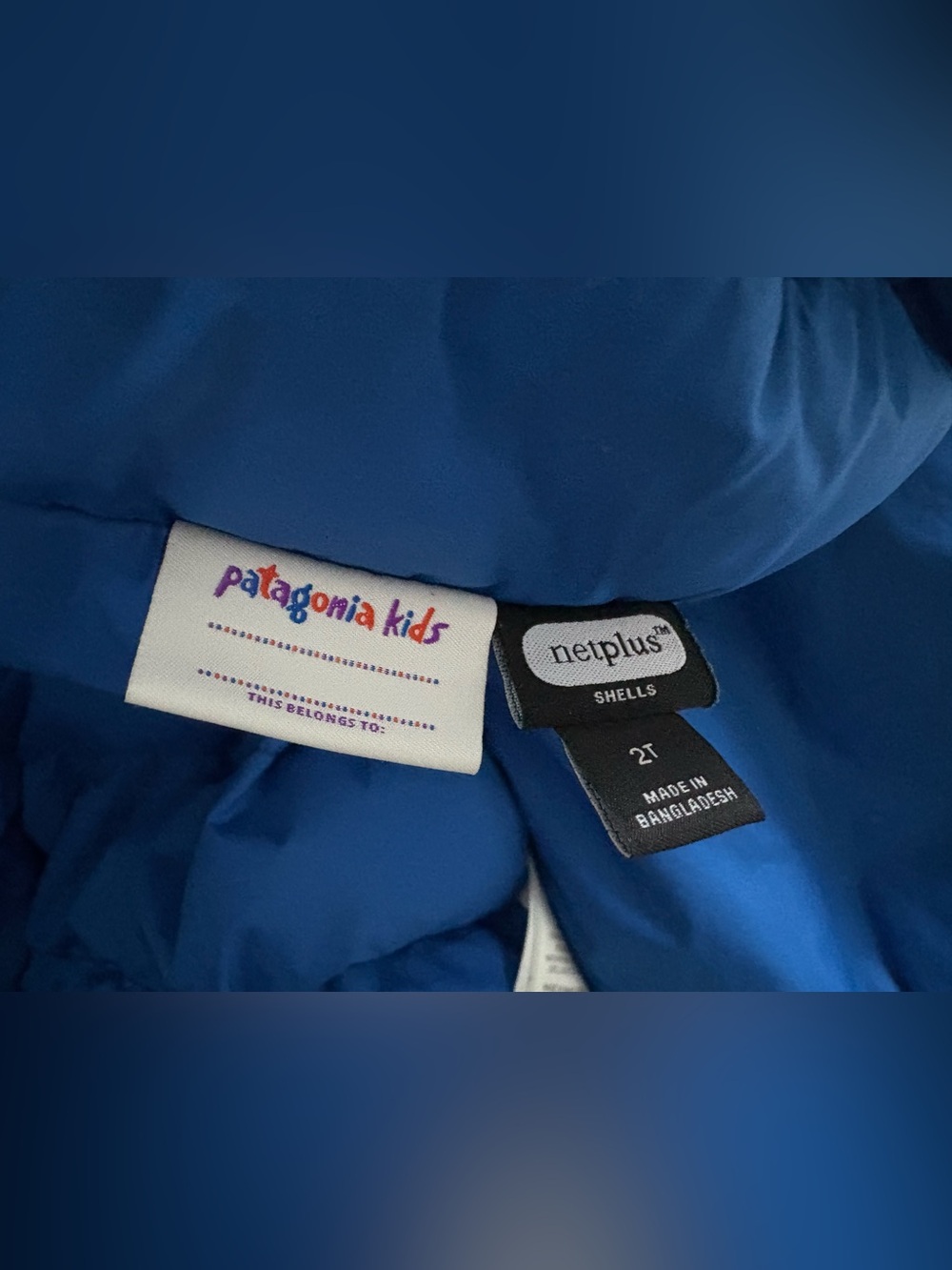 Patagonia Toddler Puffer Jacket with Hood - Picture 5 of 5